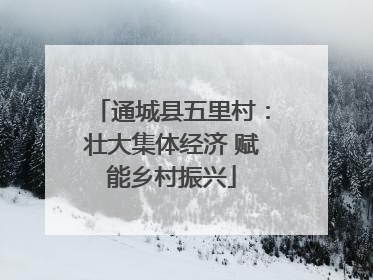 通城县五里村：壮大集体经济 赋能乡村振兴